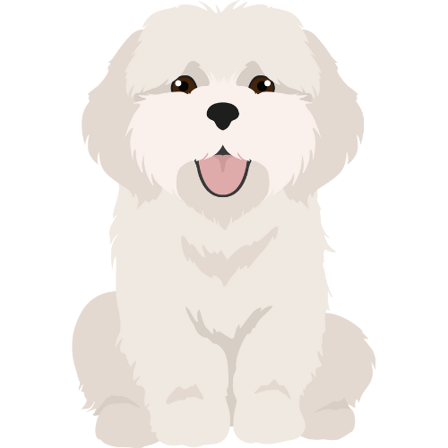 Maltese Merch